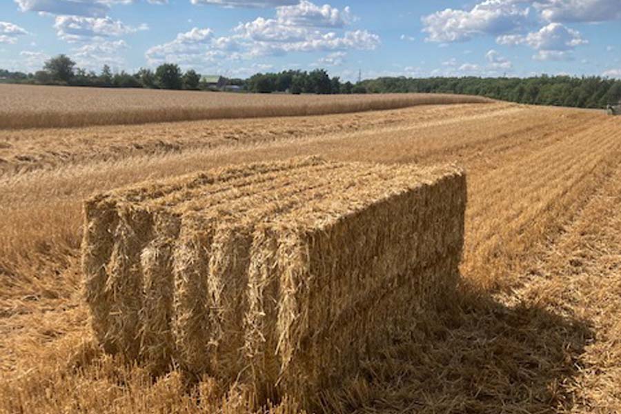 Hay and Straw Sales