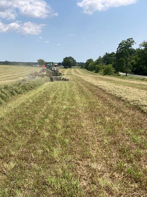 Hay Growers Ontario Canada
