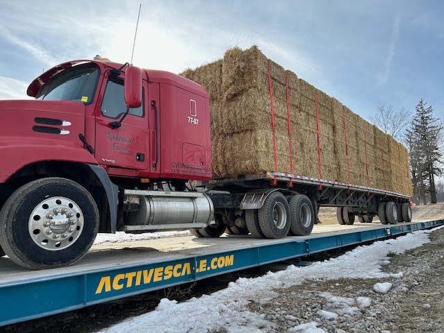 Hay Exporters International