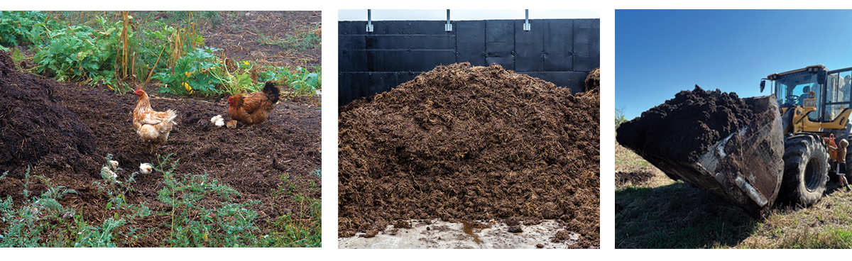 Layer Manure